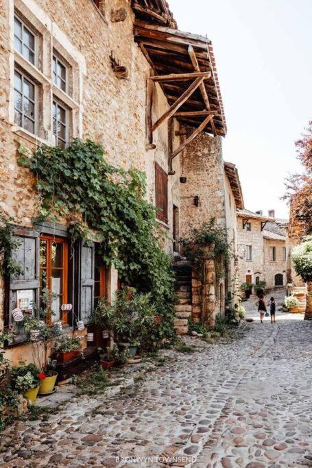 Appartamento Le Cosy Plein Centre Avec Terrasse Meximieux Esterno foto